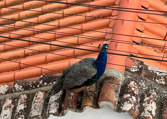 Appartement Foz Lagoon